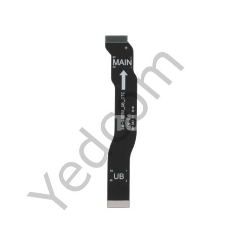 Samsung S24 Ara Film Flex